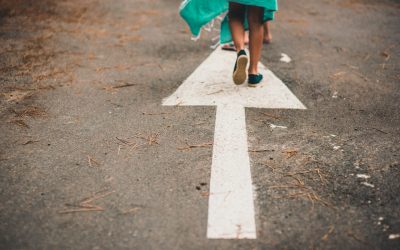 Finding Direction …